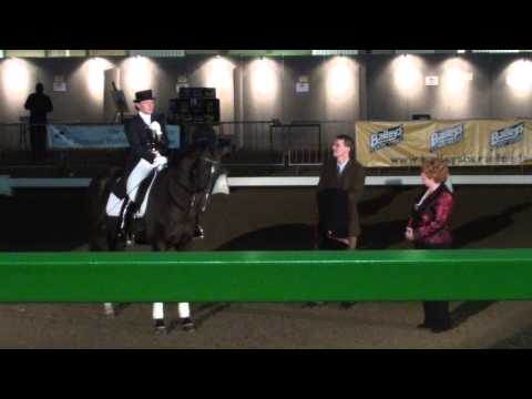BBSH Stallion Event 2013 - Diamond Hit