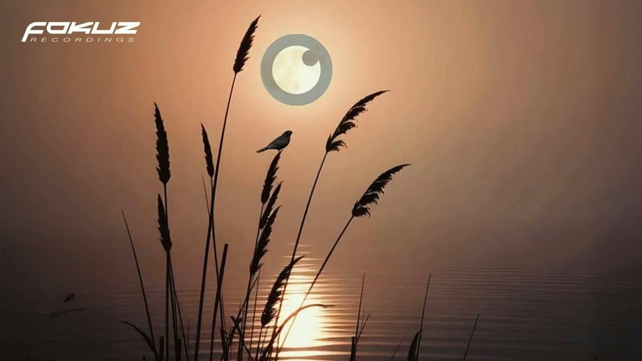 Wez Walker - Spiritual Healing