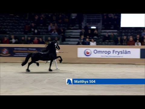 HK 2023 | Winnaar Rubriek 4 | Matthys 504