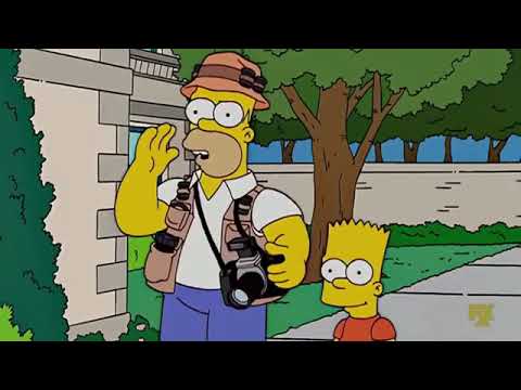 the Simpsons Homer Vs drederick