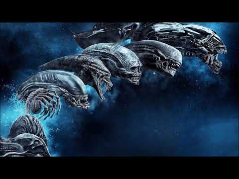 Safi Connection - Experimental Dose (Live Mix)