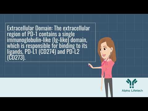 Master the PDCD1/PD1/CD279 Target in 3 Minutes! ⏳🚀