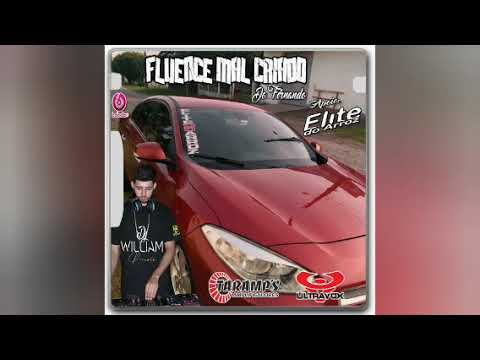 FLUENCE MAL CRIADO DO FERNANDO - DJ WILLIAM PEIXOTO