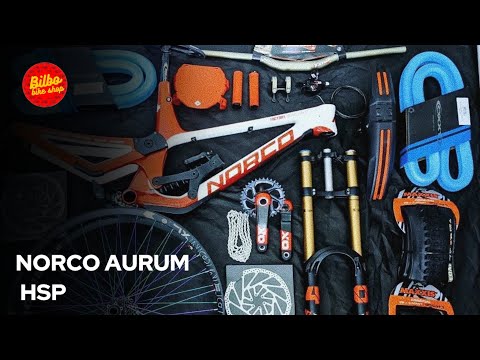 || Downhill Dream Build || Norco Aurum Hsp 2019 Factory Racing