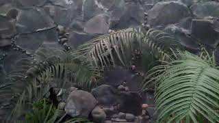 Download lagu Bayanganmu - Elvy Sukaesih mp3