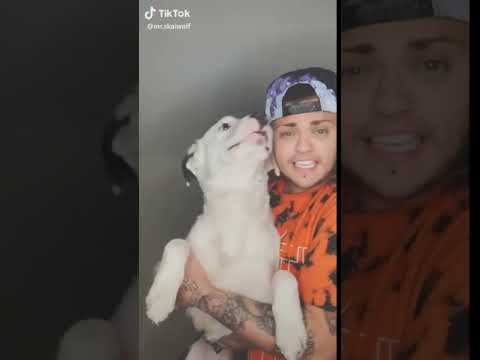 💚🤣 tiktok mr.skaiwolf - it’s not that complicated.  (Click Subscribe)