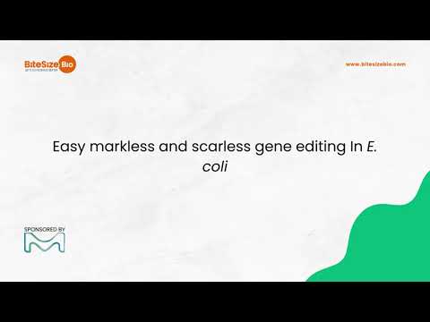 Easy markless and scarless gene editing In E. coli