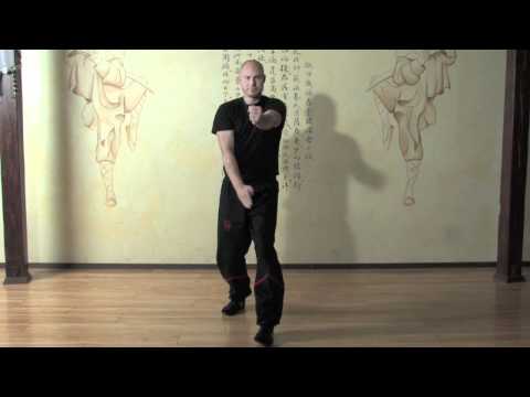 MWTA Sihing David: Gan-Sao Punch