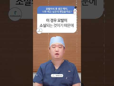 모발이식 후 딱지가 생기면 이렇게 하세요ㅣ포헤어 모발이식 서울