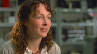 Commercialising chemistry: One team's experience of technology transfer