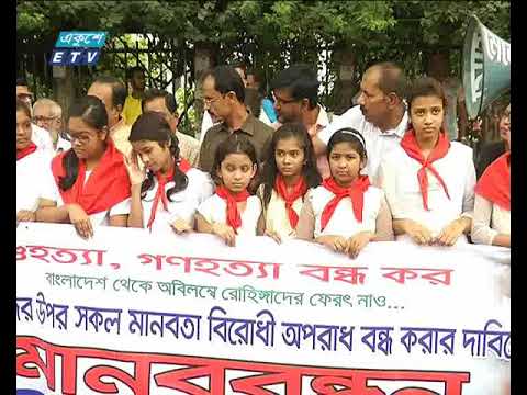 রোহিঙ্গা ইস্যুতে জাতিসংঘ নিরাপত্তা পরিষদের নিন্দা ও সর্বসম্মত বিবৃতিকে বাংলাদেশ সরকারের কূটনৈতিক সফলতা