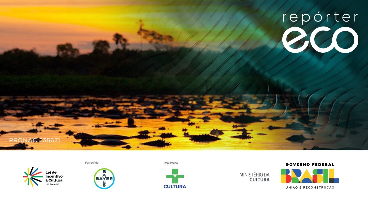 Repórter Eco | Vestígios Humanos no Pantanal | 09/06/2024