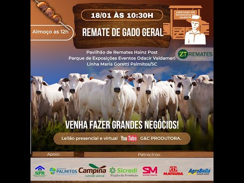 🐂 61° Remate de Gado Geral 📍 Palmitos - SC, dia 🗓️ 18/01, Domingo. ⏰ 10:30 hs.