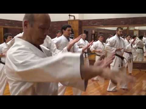 Синдо рю каратэ майстровой. Синдо рю. Синдо ёсин-рю. Синдо рю каратэ в москве. Додзе синдо.
