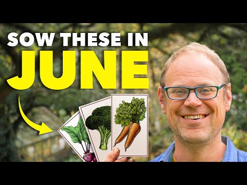 You Must Sow These Seeds in October