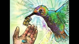 Tera Melos- &quot;So Occult / Kelly / The Skin Surf&quot;