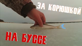 Рыбалка в декабре на сахалине