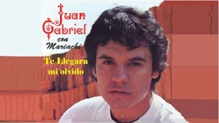 9 L.P.  - Juan Gabriel -  Te Llegara Mi Olvido "ORIGINAL"