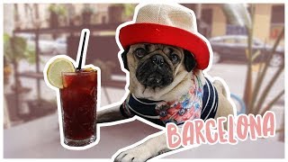 Barcelona Travel Diaries - Doug The Pug