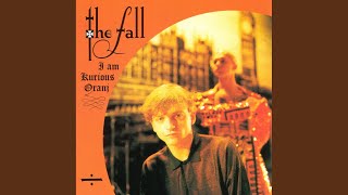 Dog Is Life / Jerusalem