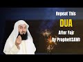 After Fajr Say this Dua : Mufti Menk