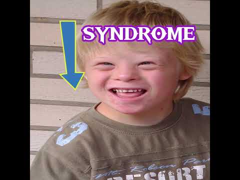 batak perantau penjaga warung - udah kaya (lirik video)