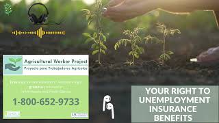 Your Right to Unemployment Insurance Benefits