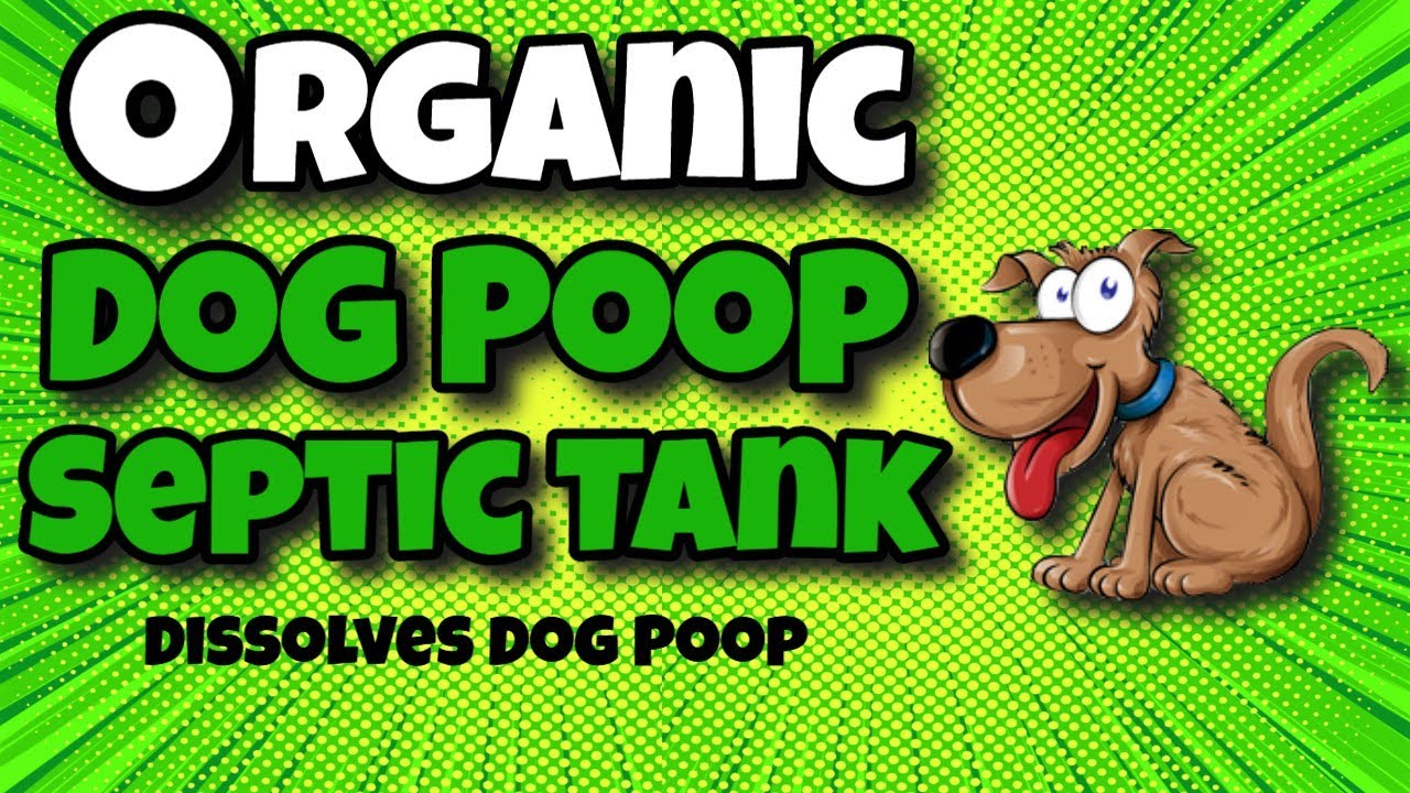 dog poo bin for garden