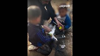 خلود الدحدوح توزع الهدايا على أطفال غزة في بادرة كانت تعتزم القيام بها مع أخيها حمزة قبل ارتقائه thumbnail