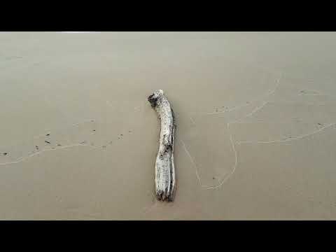 Garciems - Carnikava. Evening walk