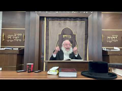 Introduction to Muktzeh | Shiur By Rav Asher Weiss Shlit"a @ His Kollel for Americans | 2024