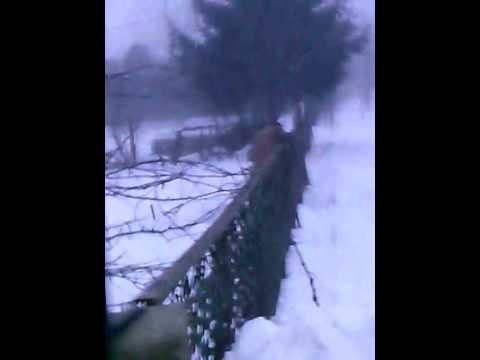 Cum se bea la isvoarele