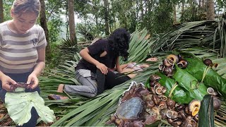 Single mother went into the forest to catch crabs and snails to sell