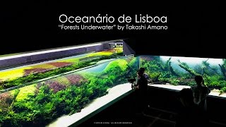 Grand Opening - Forests Underwater by Takashi Aman