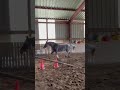 Ponette polyvalente 
