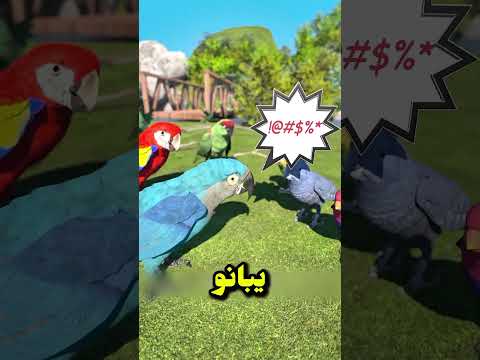 ليه ماينفعش تقول كلمة غلط قدام ببغاء؟! 🦜✨ #ببغاء #تعلم_الكلام #عالم_الطيور