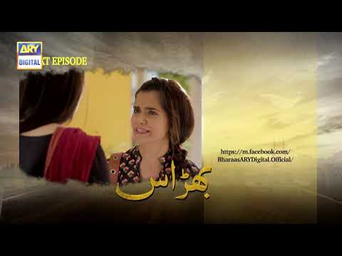 Bharaas Episode 14 - Teaser - ARY Digital Drama