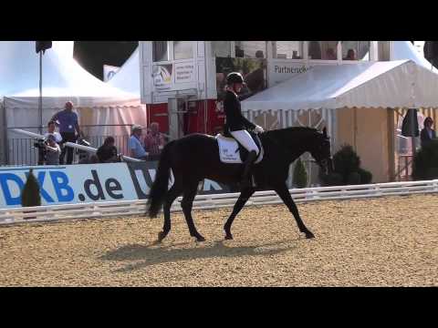 Dantano ( hann ) - Bundeschampionate 2014 Final Qualification 4 year old Stallions