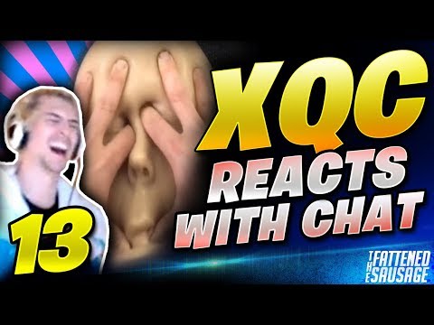 Best Of XQC REACTS To CRAZY Videos w/ CHAT #13