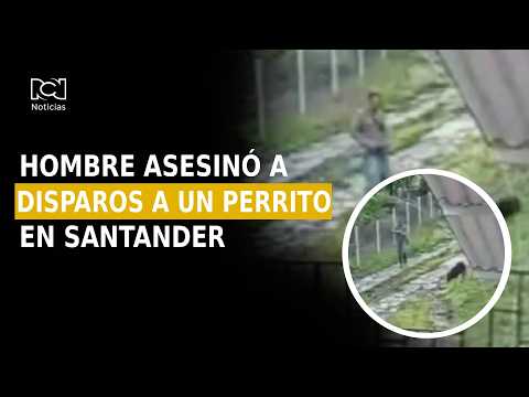 Sujeto disparó contra un perrito en Santander: habría sido una venganza contra su vecino