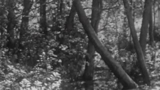 GAS - Zauberberg 5 (Mille Plateaux)