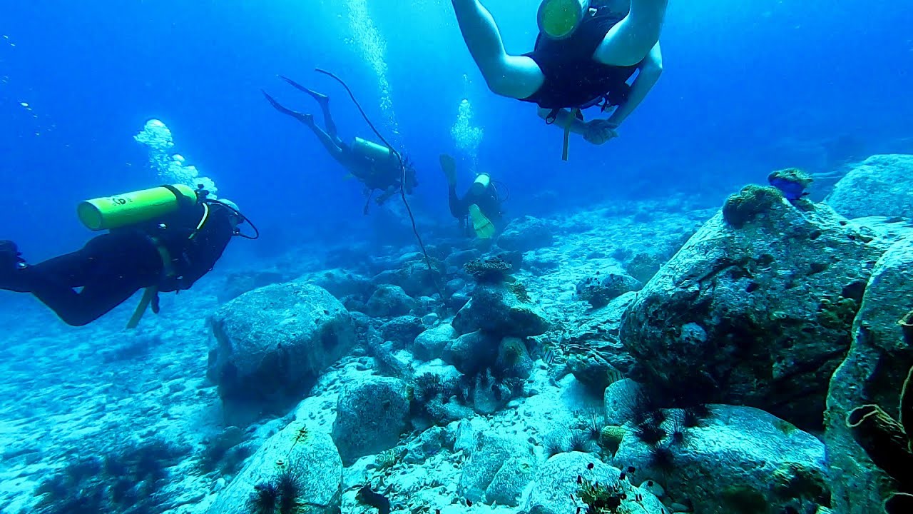 Botum Sakor National Park Video