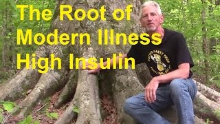 The Root of Modern Illness - High Insulin