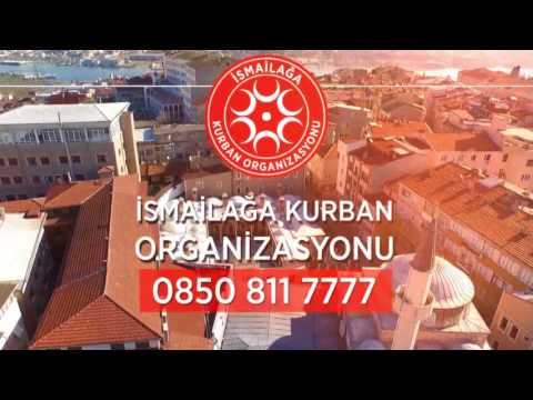 Kurban Rehberi Video