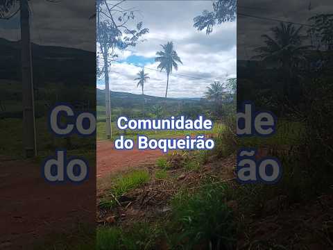 Boqueirão, Ituaçu/BA #natural #nature #agro #agriculture #roça