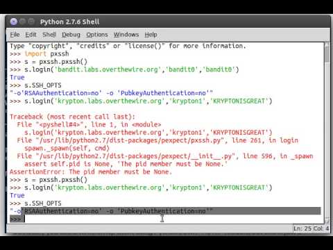 Python Pxssh 04 Ssh_opts Interactive Mode