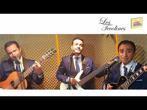 Los Tecolines/Déjame quererte