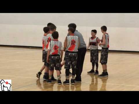 Silverbacks MIT 2017