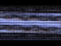 Gold Zebra - Invisible Disorder 