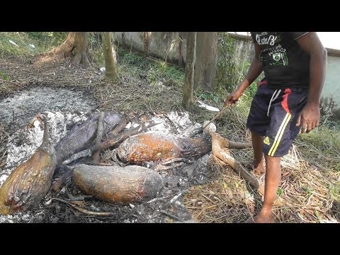 Bengali Style Jungle Roasted Eggplant Preparation | Picnic in the Park | Street Food Loves You